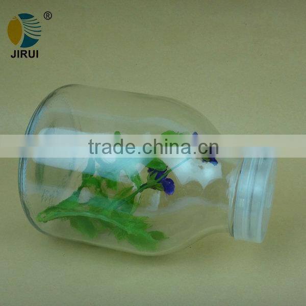 600ml plant tissue culture glass jar with plastic cap