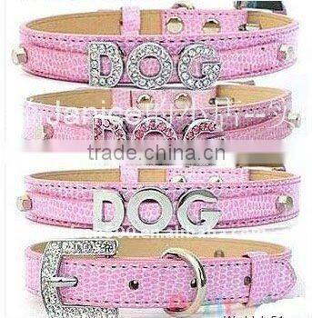 Beautiful color leashes for your cute pet