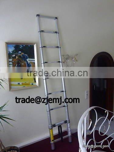 Telescopic ladder 3.8m (12.5ft)