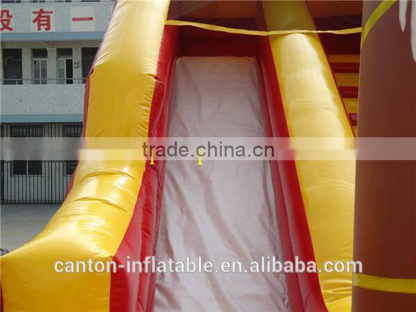 Most fascinating Inflatable Slide Type Inflatable Double Lane Slip Slide