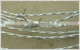 PE Barbed Wire 2