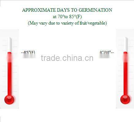 Hydroponics Garden Greenhouse Propagation Root Heat Mat