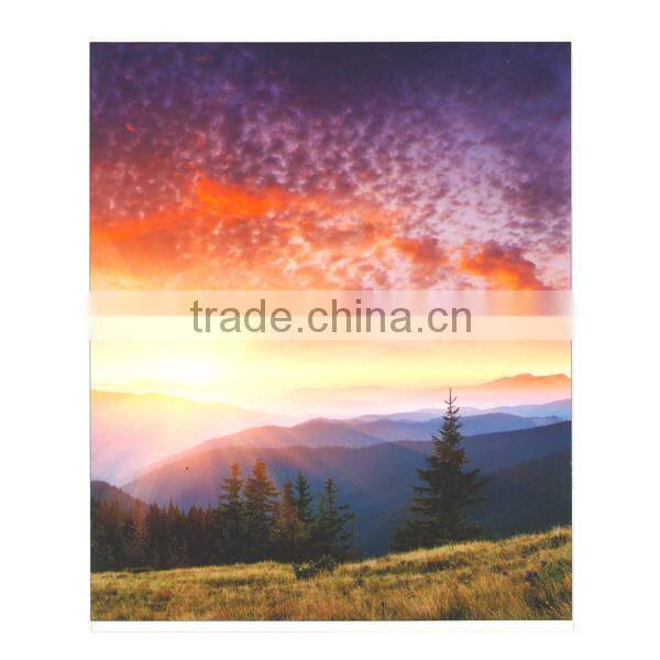glossy 180mic self adhesive eco solvent glossy pp film