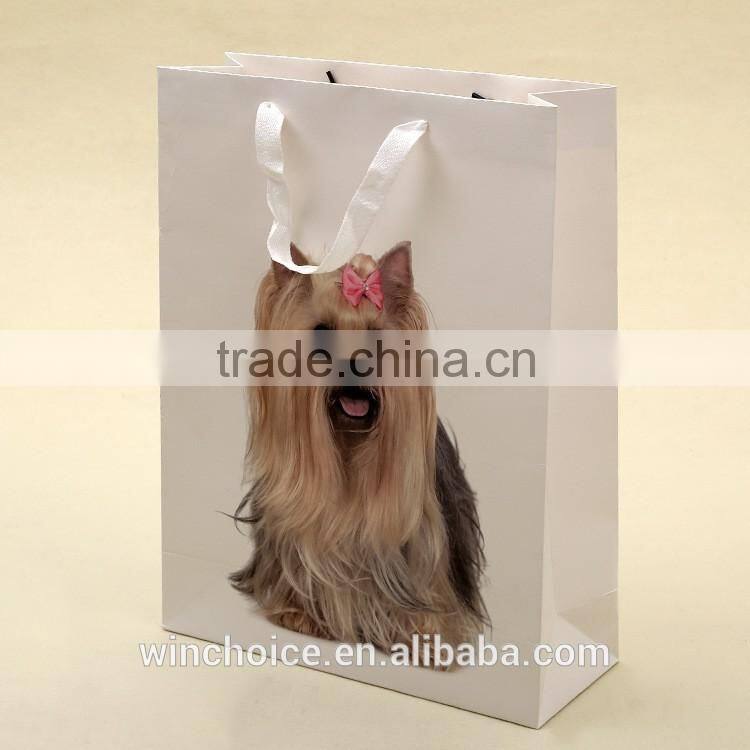 Ivory board paper /art paper bag ,shopping bags,with customized CMYK promotion bag