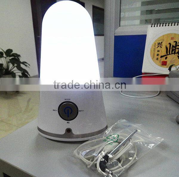 FM radio mini speaker