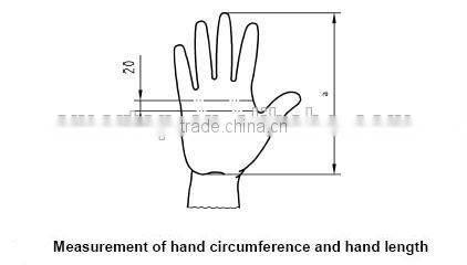 fashion Zebra-stripe women in rubber gloves