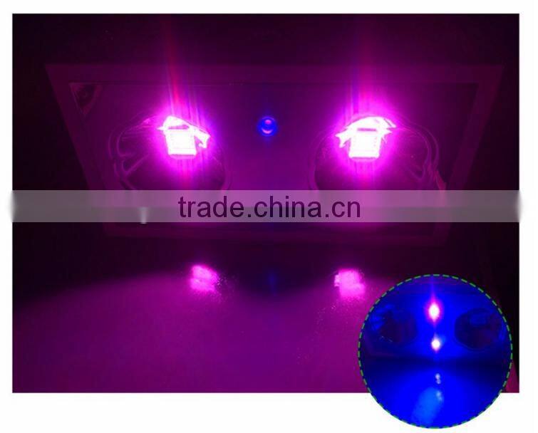 Alibaba express UV Zeus led grow light 300W for tiny houses