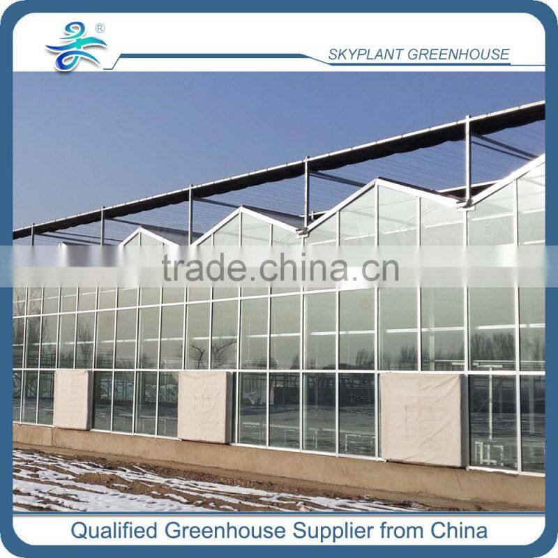 Horticultural Glass Greenhouse multi-span glass greenhouse