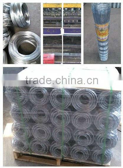 ISO 9001 stainless steel field fence