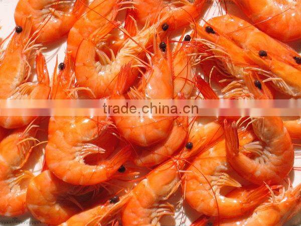 Frozen cooked vannamei shrimp