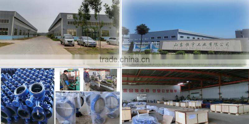 demo butterfly valve with cast iron body