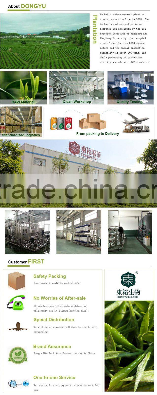 Natural Healthy Supplement 98% Polyphenols Green Tea Extract for instant drinking tea