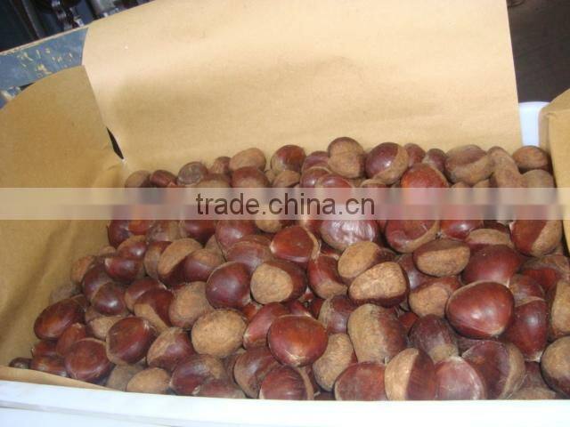 fresh chestnut,2015 chestnut,TianJin chestnut factory fresh