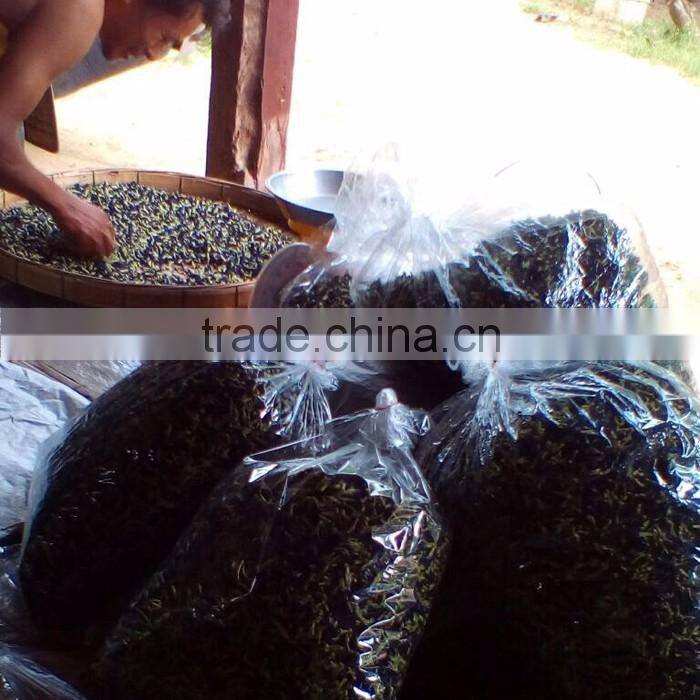 Dried Thai herbal medicine Butterfly Pea