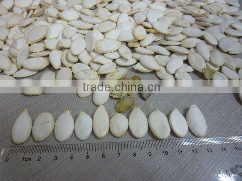 Snow white pumpkin seed.cushaw seed