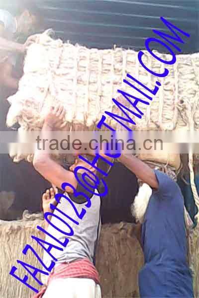 JUTE COIR FIBER / FIBRE, RAW MATERIAL OF JUTE MATTRESS FROM EXPORT TRADE ASSOCIATE WITH CHEAP FIBERS FOR PRODUCTION OF NONWOVEN