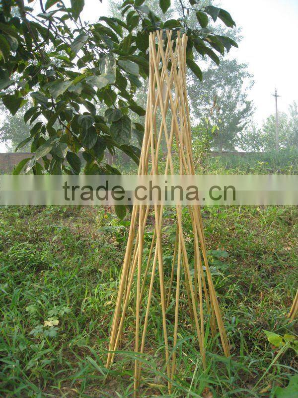 willow garden obelisk climber