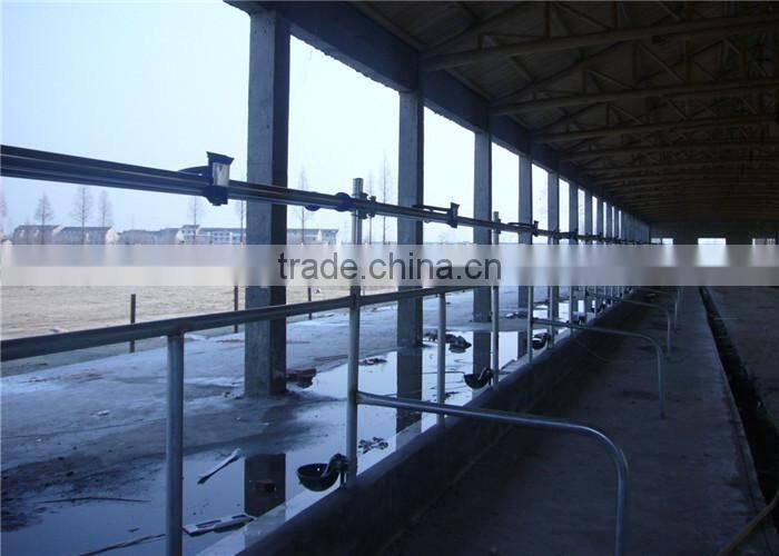 Dairy Cows Pipeline Milking Machine System