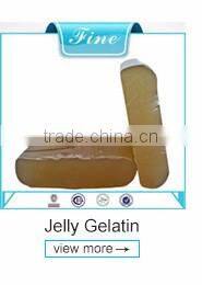 Hydrolysed gelatin protein foaming agent