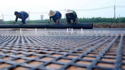 Free sample Biaxial plastic geogrid 2020 3030 4040 with CE certificate