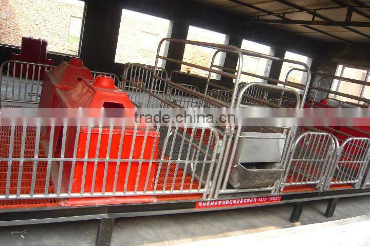Pig Farming Equipment For Pig Farrow Crates