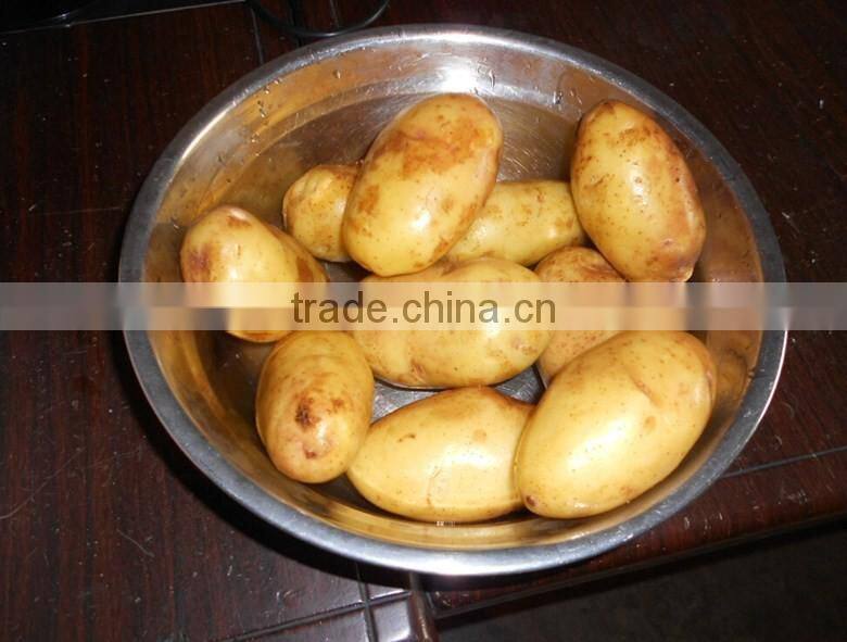 high quality green color ,french fry cutter 4pcs cupfeets aluminium support