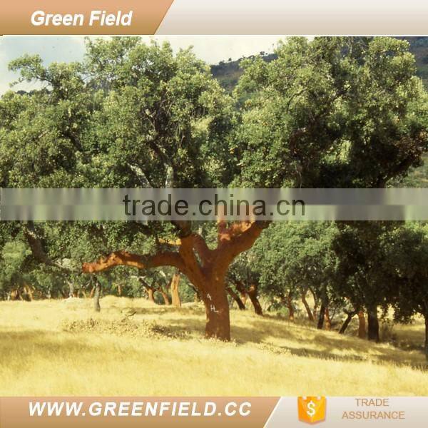 Green Field eco-friendly cork portugal cosmetic makeup organizer