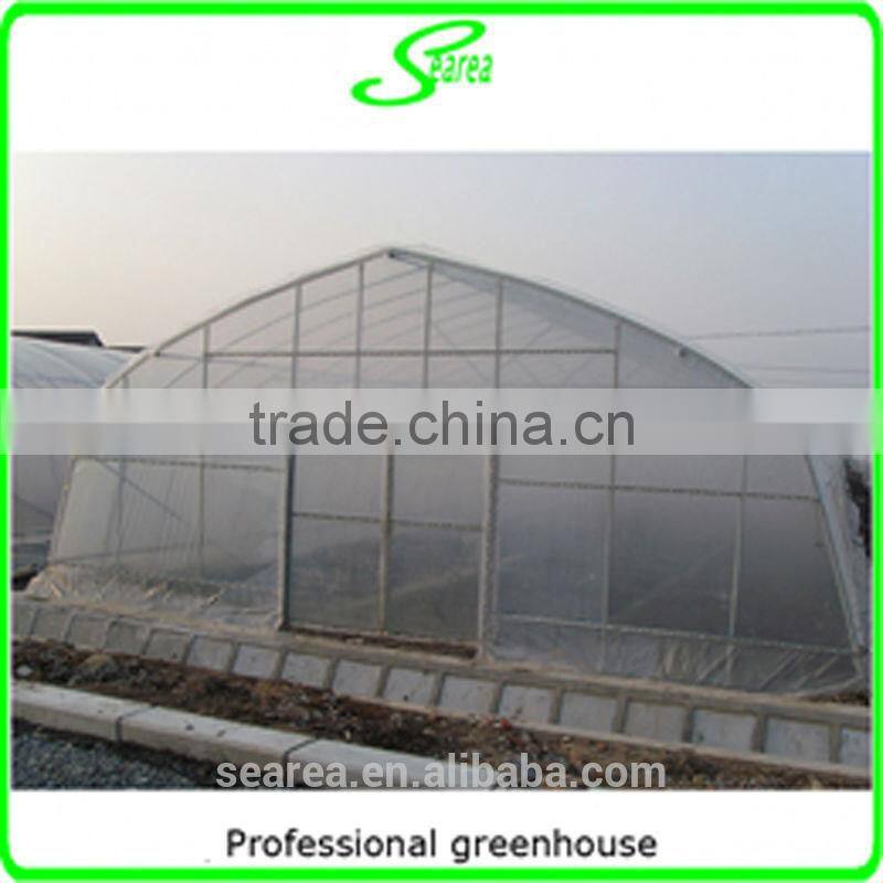 Searea Economical Single Tunnel Greenhouse