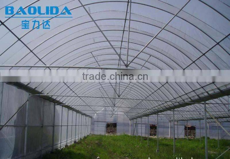 hot dip galvanized framework plastic film greenhouse for vegetables and plant