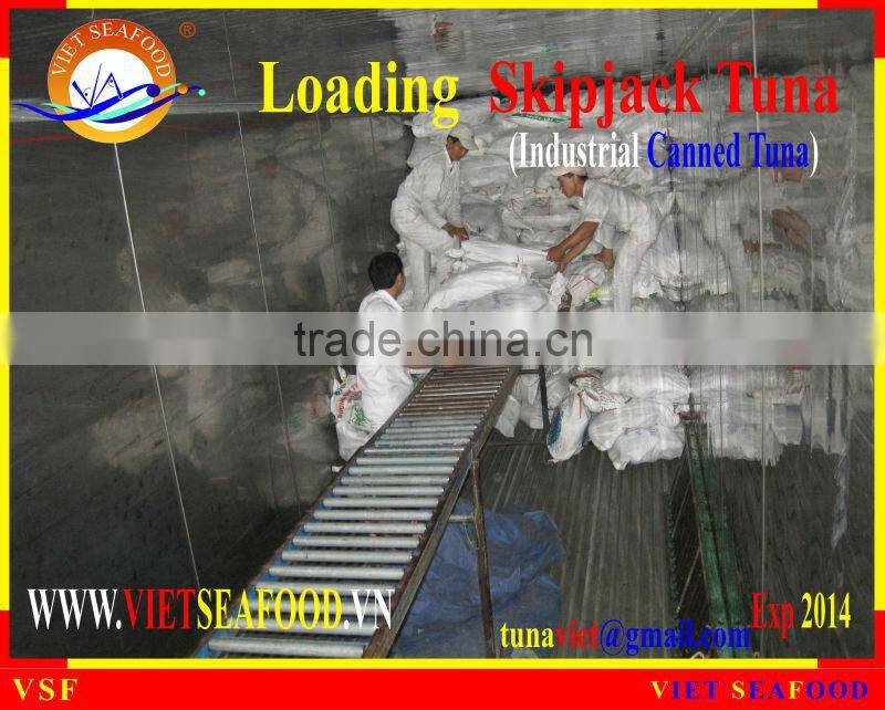 LOADING SKIPJACK TUNA