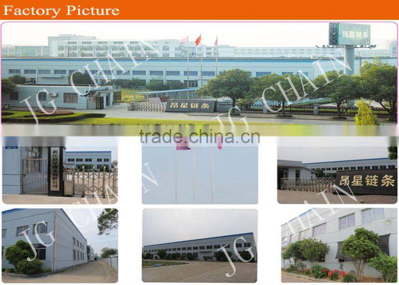Zhejiang zhuji iso certified chain factory b series alloy steel machine parts roller chain drives