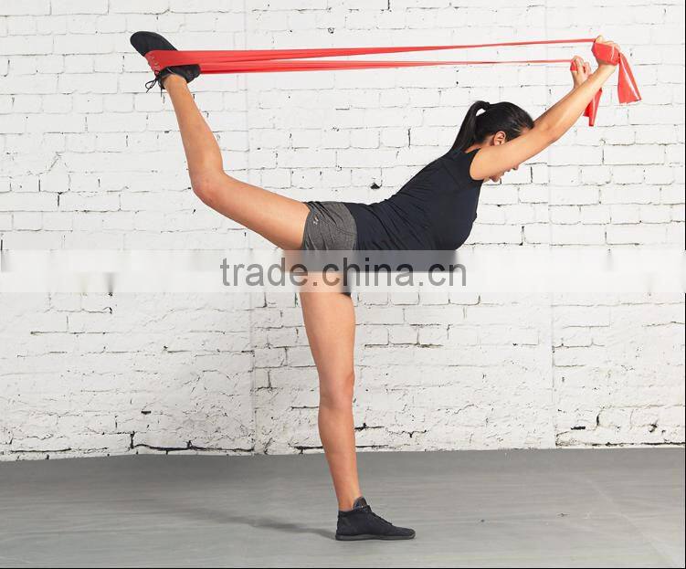 Professional Latex Resistance Bands - 25 Meters Roll, Grey, Advanced Level 5 (25LB)