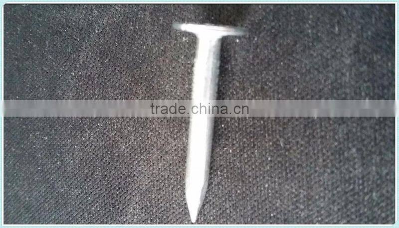 coil roofing,factory direct sale nails