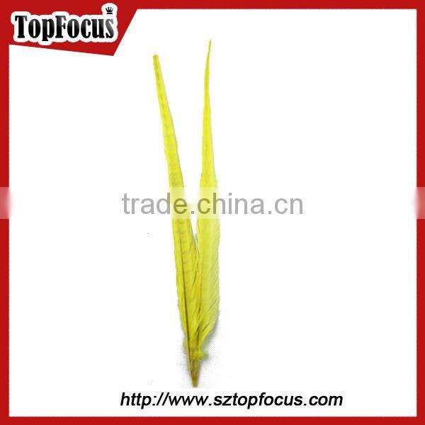 50-55cm assorted color dyed Pheasant tail feathers