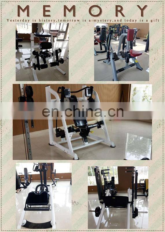 strength machine high-end wholesale Commercial gym fitness equipment ASJ-DS024 torso rotation machine for sale