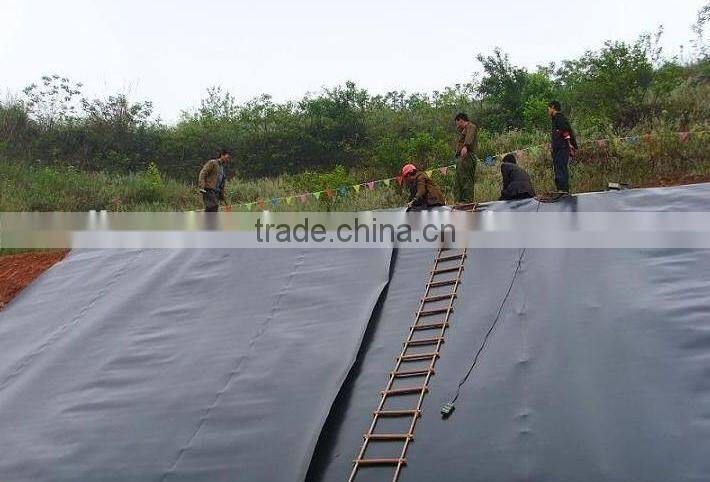 Geomembrane