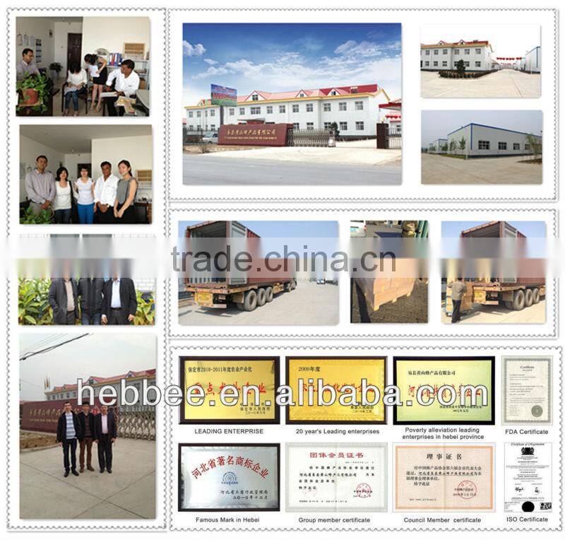 bee hive for beekeeping