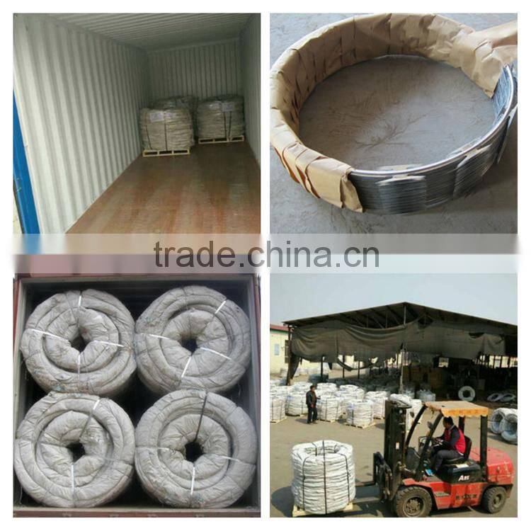 Factory Direct Sale Welded Straight Razor Wire