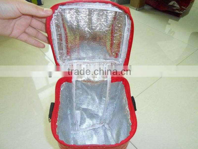 EPE laminated foan cooler bags