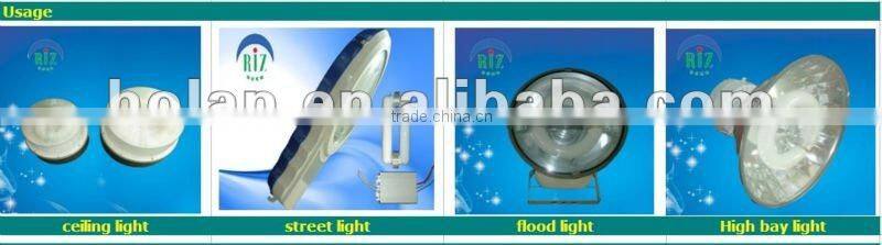 200w magnetic grow induction light