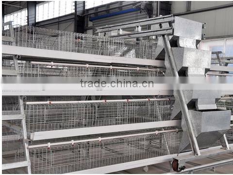 durable automatic feeder for chicken