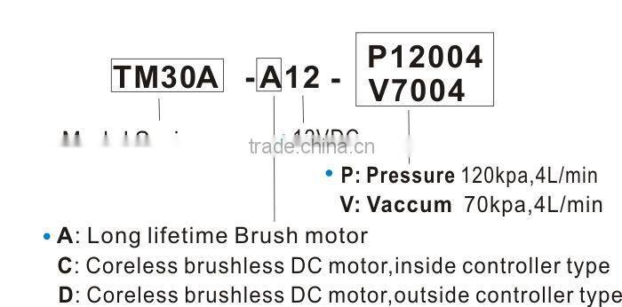 DC Brushless Diaphragm 6v 12v 24v pump for corridor assembly room Aroma Diffusion System