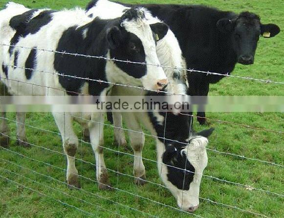 new technology cow fence or cattle fence mesh machine made in CHINA ANPING