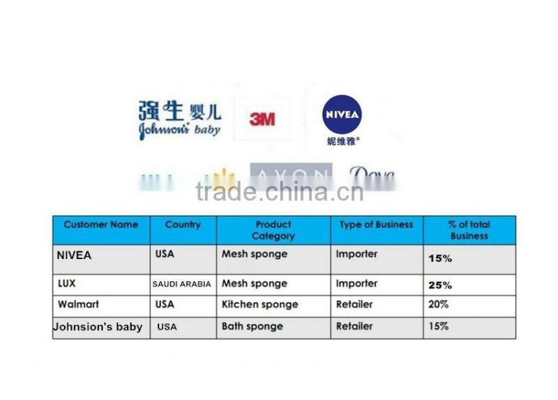 cleaning kitchen sponge roller brush