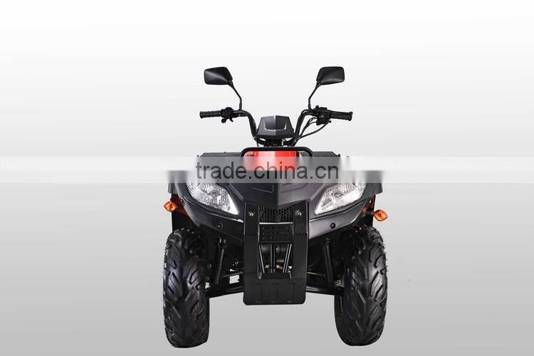 China wholesale 2016 new utility water ATV