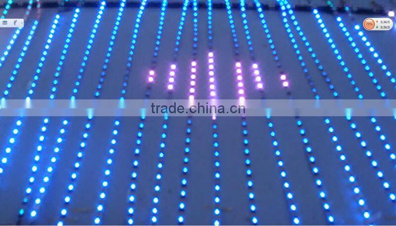 32led per meter strip Digital Pixel Led Strip Ws2801