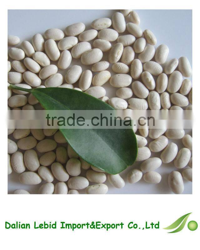 Export Broad White Kidney Dry Beans For Sale 2016 Crop