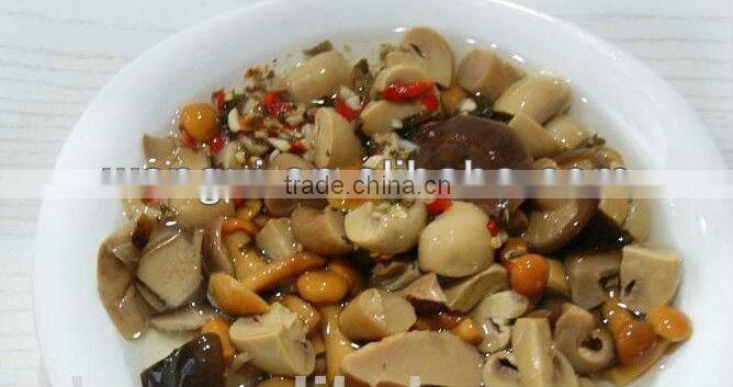 Canned Mixed Mushroom In Brine