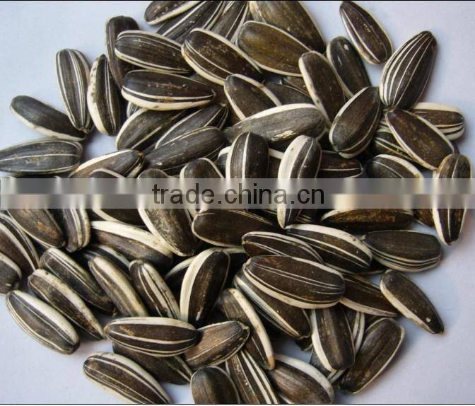 2015 chinese sunflower seed hot sale