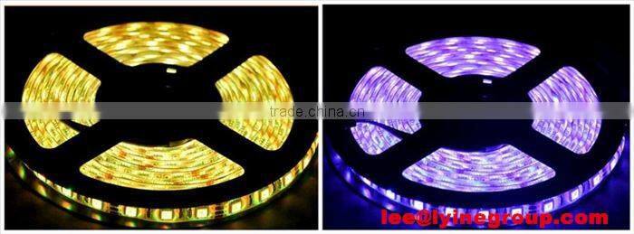 AC/DC 12 led neon flexible bendable led strip 5050